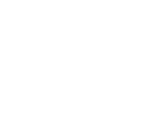 tomato image with a clear background