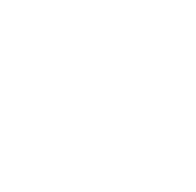 pasta image with a clear background